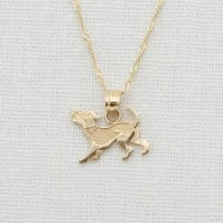 14k Gold Puppy Charm With Chain(14k Gold Puppy Charm With Chain)