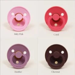 Bibs Pacifier(Bibs Pacifier) -Tiny Trendz Grid5