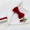 Noah Red Bow Tie & Boutonniere(Noah Red Bow Tie Boutonniere)