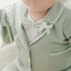 Theodore Bow Tie & Boutonniere(Theodore Bow Tie Boutonniere)